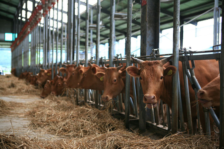 경남 3개 한우농가, 농식품부 ‘저탄소 축산물 인증’ 획득
