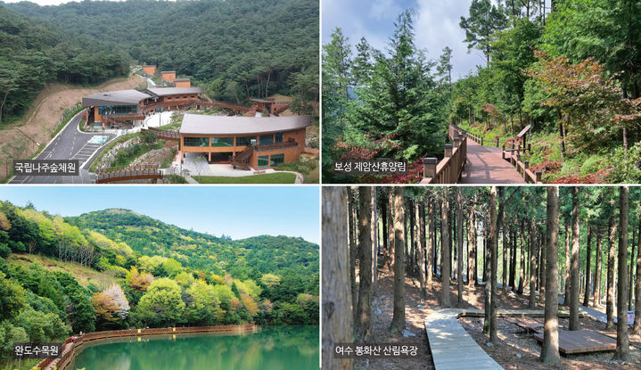 [무안=뉴시스] 전남도가 7월 여름 휴가철을 맞아 숲캉스 추천관광지로 국립나주숲체원과 보성 제암산휴양림, 완도수목원, 여수 봉화산 산림욕장을 선정했다. (사진=전남도 제공) 2023.07.10. photo@newsis.com *재판매 및 DB 금지