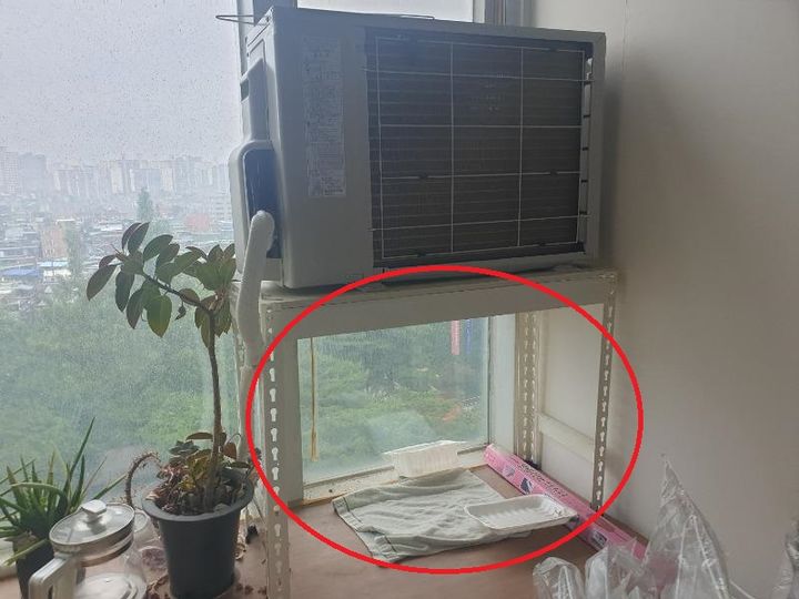 (사진=온라인 커뮤니티 '보배드림' 캡처본) *재판매 및 DB 금지