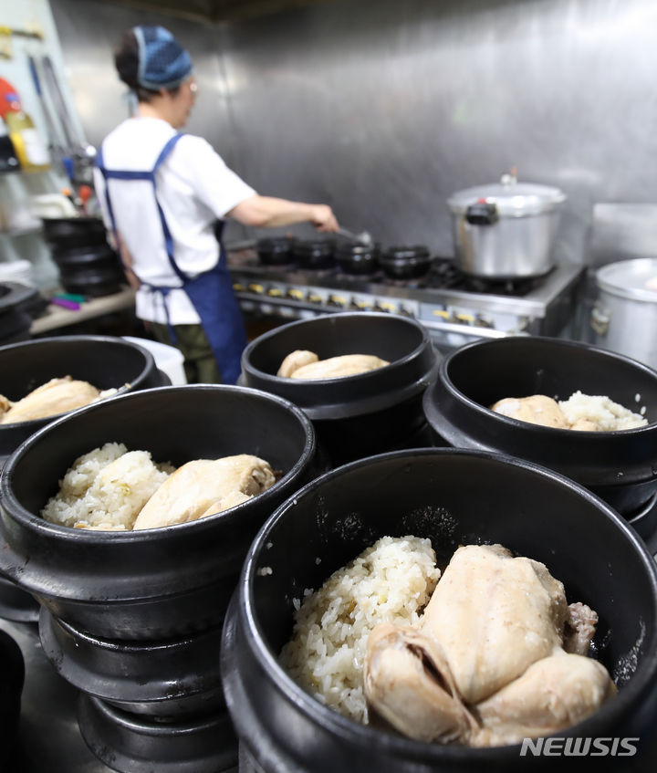 [제주=뉴시스] 우장호 기자 = ﻿﻿11일은 삼복 중 첫 번째로 드는 복날인 초복(初伏)이다. 무더운 여름철 지친 몸에 활력을 불어넣기 위해 보양식을 찾기 마련이지만, 보양식도 잘못 먹으면 자칫 건강에 해로울 수 있어 주의할 필요가 있다. 사진은 초복을 하루 앞둔 지난 10일 오전 제주시 연동의 한 식당에서 주인 아주머니가 손님상에 나갈 삼계탕을 준비하는 모습. 2023.07.10. woo1223@newsis.com