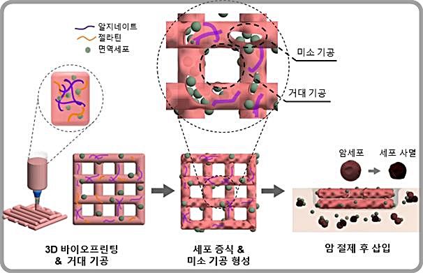 [대전=뉴시스] 3D 바이오프린팅 NK 세포의 면역 치료 과정도.(사진=기계연구원 제공) *재판매 및 DB 금지