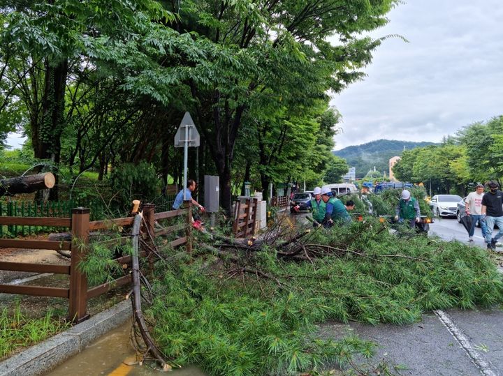 [광주=뉴시스] 이영주 기자 = 광주 지역에 호우주의보가 내려진 11일 오후 광주 북구 일곡동 한 공원 주변에서 행정 당국이 비 피해로 넘어진 나무를 복구하고 있다. (사진 = 북구 제공) 2023.07.11. photo@newsis.com  *재판매 및 DB 금지