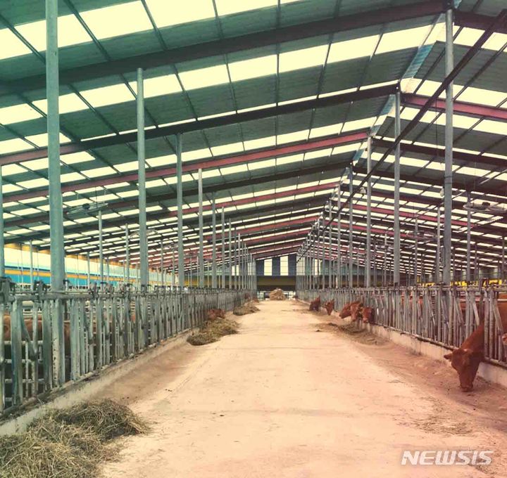 [장흥=뉴시스] '저탄소 축산물 인증' 받은 장흥 한우 농가 축사. (사진=전남도 제공) 2023.07.12. photo@newsis.com *재판매 및 DB 금지