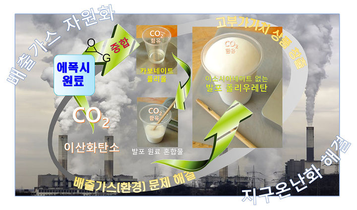 [부산=뉴시스] 부산대 김일 교수 연구 내용 (그림=부산대 제공) *재판매 및 DB 금지