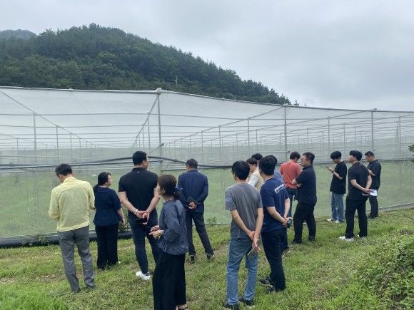 [고성(경남)=뉴시스] 신정철 기자= 경남 고성군 농업기술센터가 선진 농업 기술 교류 적지로 '각광'을 받고 있다.사진은 지난 13일, 충남 당진시 국화 연구회 40여 명이 국화분재기술 교류를 위해 고성군을 방문한 모습.(사진=고성군 제공).2023.07.14. photo@newsis.com *재판매 및 DB 금지