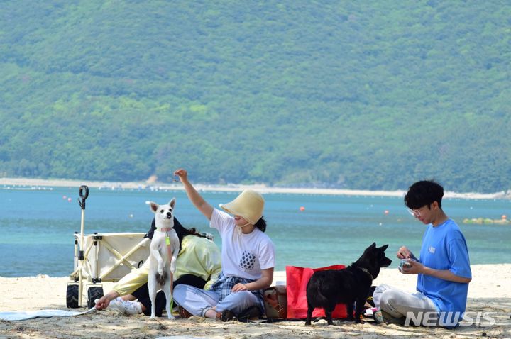 [창원=뉴시스] 경남 거제시 명사해수욕장 내 댕수욕장.(사진=경남도 제공)