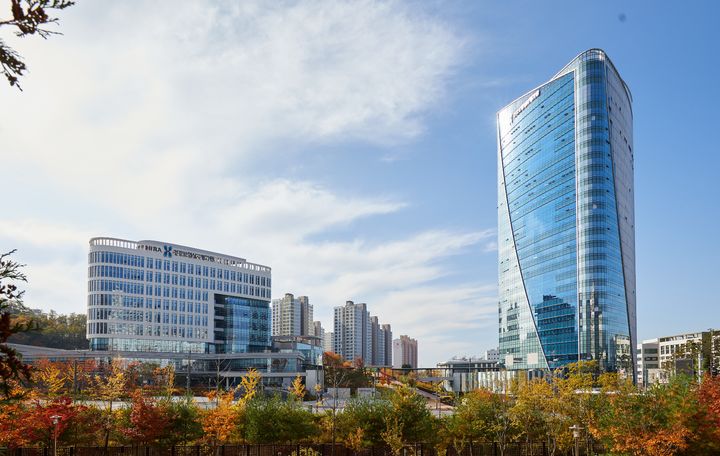 신경차단술·추나요법 등 '자동차보험 선별집중심사' 항목 공개