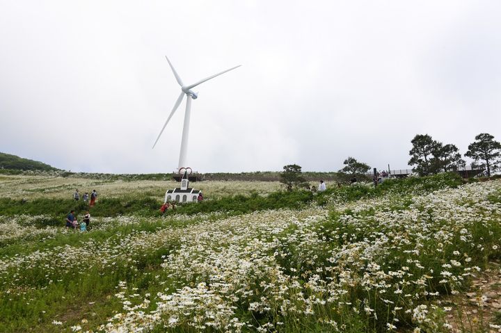 청옥산 육백마지기. *재판매 및 DB 금지