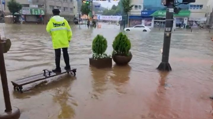 [공주=뉴시스] 참수된 충남 공주시 옥룡동 일대. 독자제공 *재판매 및 DB 금지