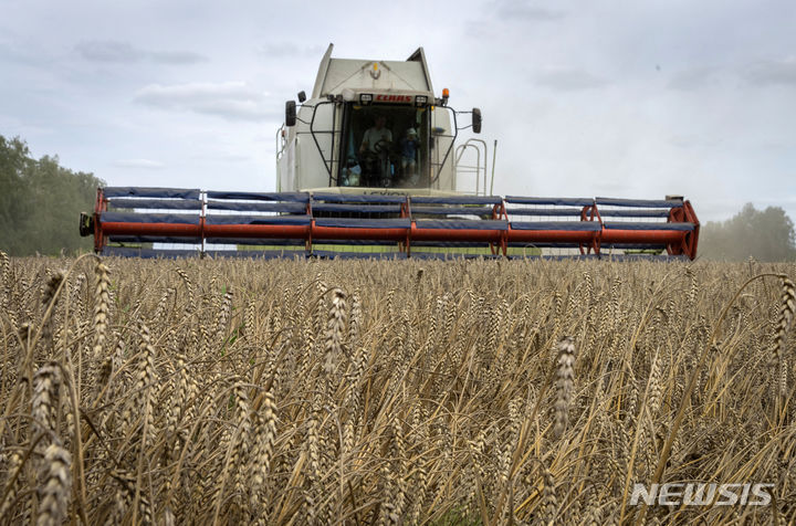 [즈후리브카(우크라이나)=AP/뉴시스]2022년 8월9일 우크라이나 즈후리브카 마을에서 밀이 수확되고 있다. 2023.07.17.