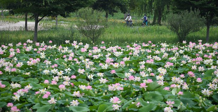 [거창=뉴시스] 거창군청 *재판매 및 DB 금지 *재판매 및 DB 금지