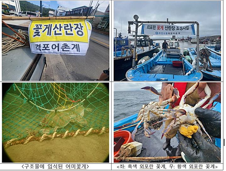 한국수산자원공단 서해본부 제공 *재판매 및 DB 금지