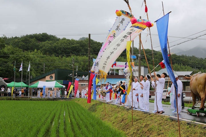 [광주=뉴시스] 구길용 기자 = 전남도 무형문화재 제54호인 화순 우봉들소리 민속공연이 지난 15일 화순군 춘양면 우봉마을 앞 당산거리와 신야평 논에서 펼쳐졌다. (사진=화순군 제공). 2023.07.17. kykoo1@newsis.com *재판매 및 DB 금지