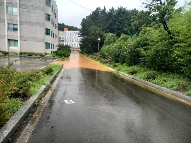 폴리텍Ⅶ대학, 창원 대상공원 공사업체와 토사유출 공방