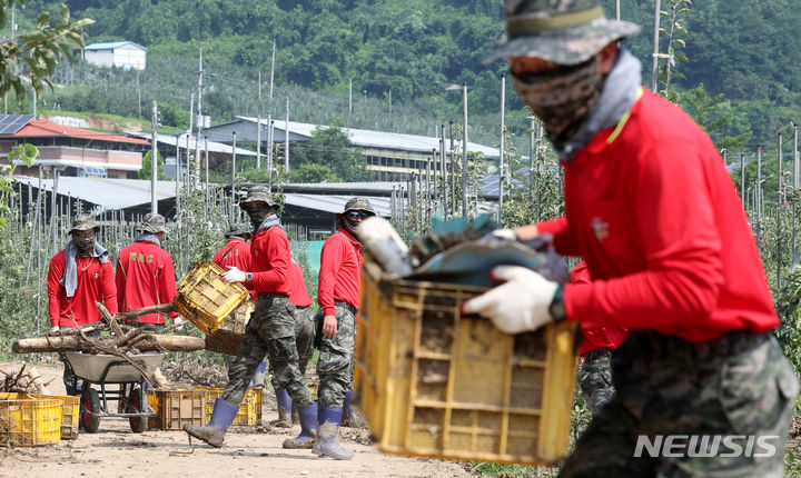 [예천=뉴시스] 이무열 기자 = 지난 21일 경북 예천군 감천면 진평2리 수해복구 현장에서 해병대 1사단 장병들이 쓰레기 등을 치우며 구슬땀을 흘리고 있다. 2023.07.22. lmy@newsis.com