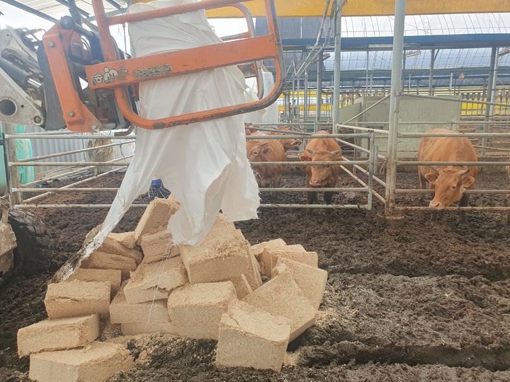 [청주=뉴시스] 임선우 기자 = 침수 피해를 입은 충북 청주지역 축사에 응급복구를 위한 톱밥이 투입되고 있다. (사진=청주시 제공) photo@newsis.com *재판매 및 DB 금지