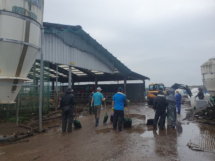 [청주=뉴시스] 침수 피해를 입은 충북 청주지역 축산 농가에서 복구 작업이 이뤄지고 있다. (사진=청주시 제공) photo@newsis.com *재판매 및 DB 금지