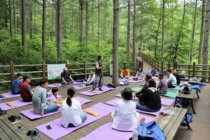 경북 국립김천치유의숲의 대표프로그램인 수도산바디테라피가 자작나무 숲 아래 덱에서 진행되고 있다. 길지혜 작가(사진=한국관광공사 제공) photo@newsis.com *재판매 및 DB 금지