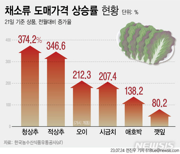 [서울=뉴시스] 24일 한국농수산식품유통공사(aT) 농산물유통정보에 따르면 21일 기준 상품 적상추 4kg은 전달보다 346.6% 오른 8만3520원, 시금치는 207.4% 오른 5만5660원이다. 최근 집중호우 여파로 잎채소를 포함한 채솟값 상승을 이끌고 있다. (그래픽=전진우 기자) 618tue@newsis.com