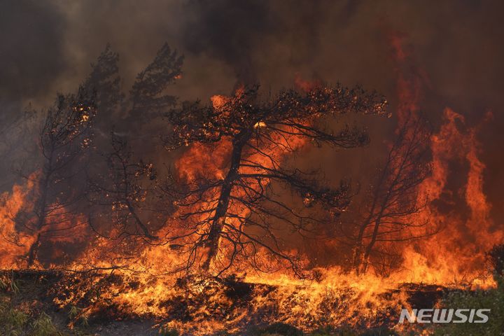 [로도스=AP/뉴시스] 25일(현지시간) 그리스 로도스 섬에서 발생한 산불로 숲이 타고 있다. 2023.07.28.