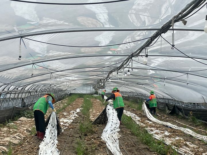 금산지역 사회봉사 단체들이 수해를 입은 논산과 공주 등지를 찾아 복구에 힘을 보태고 있다. 2023. 07. 25 금산군  *재판매 및 DB 금지