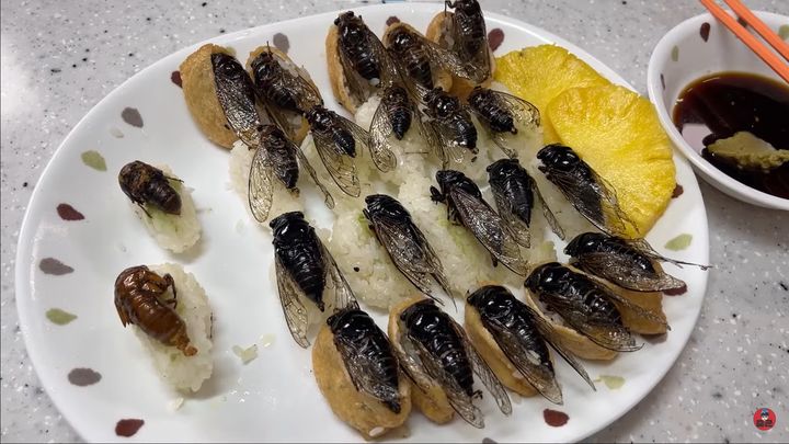 [서울=뉴시스]지난 25일 유튜버 이충근이 자신의 유튜브 채널에 '매미 초밥은 무슨 맛일까?'라는 제목의 영상을 게재했다.(사진=유튜브 '이춘근' 캡처) 2023.07.25 photo@newsis.com *재판매 및 DB 금지