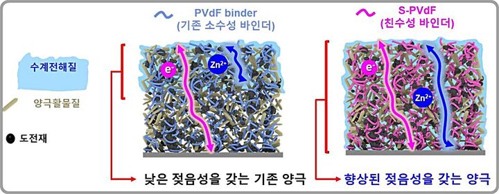 [대전=뉴시스] 친수성 바인더를 이용한 수계전해질의 젖음성이 개선된 수계아연이온전지용 후막 양극 모식도.(사진=한국생산기술연구원 제공) *재판매 및 DB 금지