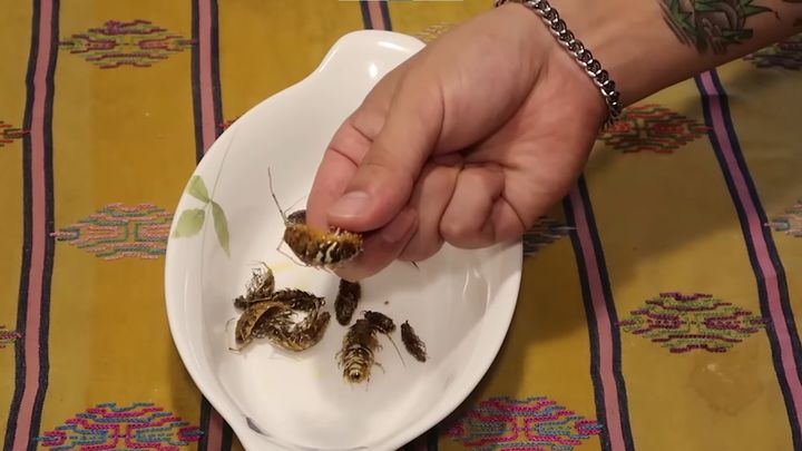 [서울=뉴시스]지난 2019년9월7일 유튜버 헌터퐝이 자신의 유튜브 채널에 '바다 바퀴벌레 갯강구를 먹어보자!'라는 제목의 영상을 게재했다.(사진=유튜브 '헌터퐝' 캡처) *재판매 및 DB 금지