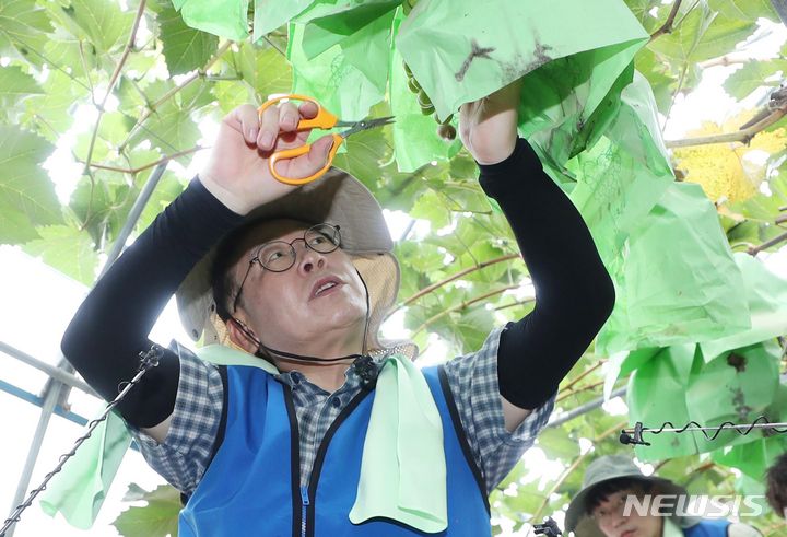 [부여=뉴시스] 조성봉 기자= 이재명 더불어민주당 대표가 25일 오전 충남 부여군 부여읍 정동리 침수지역 비닐하우스에서 수해복구 지원 활동을 하고 있다. 2023.07.25. suncho21@newsis.com