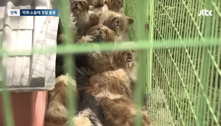 (사진=JTBC 뉴스 보도 캡처본) *재판매 및 DB 금지