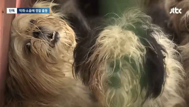 (사진=JTBC 뉴스 보도 캡처본) *재판매 및 DB 금지