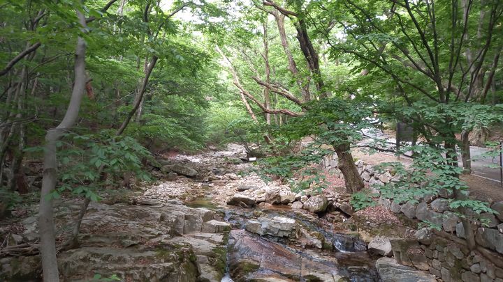 [대전=뉴시스]계룡산국립공원 계곡. (사진= 국립공원공단 제공)&nbsp; *재판매 및 DB 금지