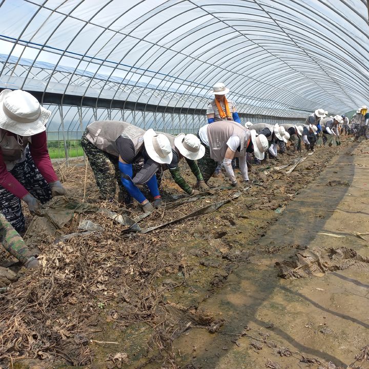 [안동=뉴시스] 경북도개발공사 직원들이 27일 에천군 회룡포 마을에서 수해복구 활동을 하고 있다. (사진=경북도 제공) 2023.07.27 *재판매 및 DB 금지