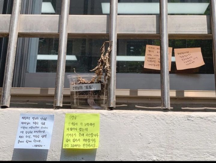 A씨가 블로그에 함께 올린 사진 (사진=해당 블로그 캡처) *재판매 및 DB 금지