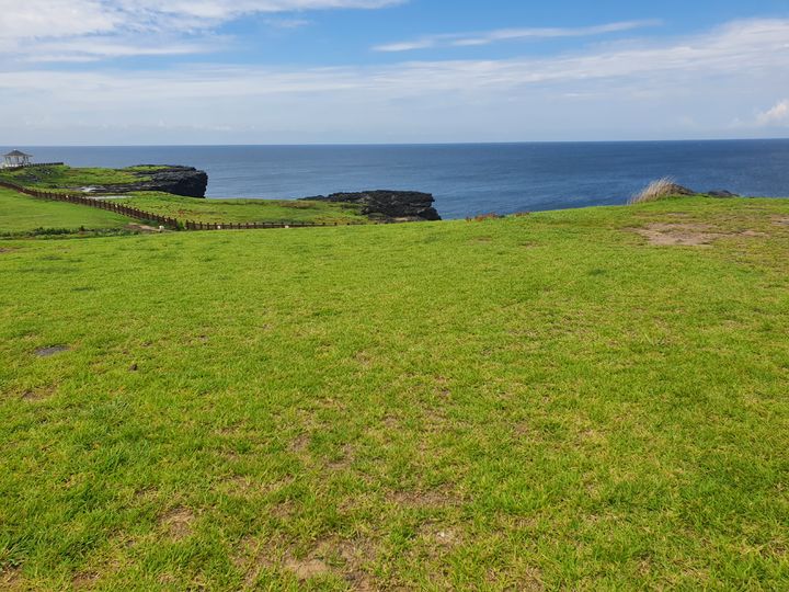 [제주=뉴시스] 제주 마라도 토종 한국잔디 자생지&nbsp; *재판매 및 DB 금지