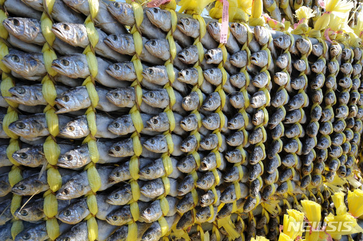 [영광=뉴시스] 해풍에 구들구들 말린 최상품 영광굴비. (사진=영광군 제공) photo@newsis.com *재판매 및 DB 금지