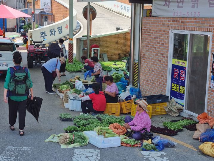 [진안=뉴시스] 지난 29일 진안장날 풍경. 노점상들이 자신이 기른 채소 등을 판매하고 있다. *재판매 및 DB 금지