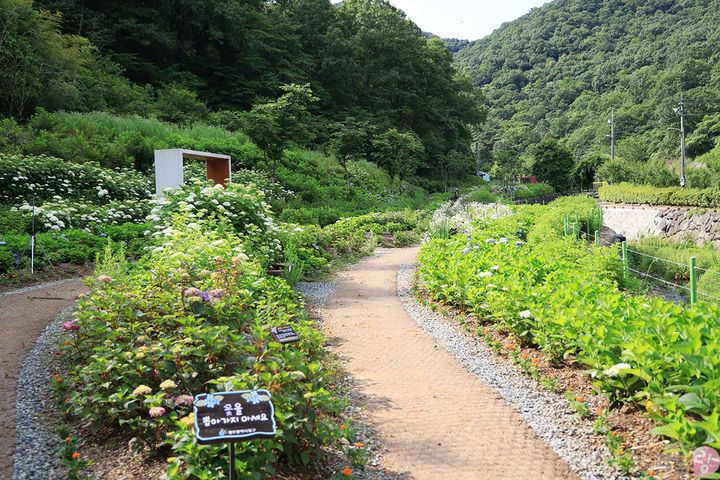 [광주=뉴시스] 무등산국립공원 동적골. (사진=광주시청 제공·뉴시스 DB). photo@newsis.com *재판매 및 DB 금지