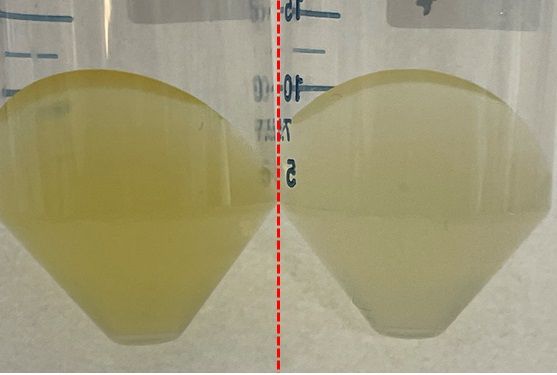 [세종=뉴시스] 환경부 국립생물자원관은 국내 최초로 '플라보박테리움' 속(屬, genus) 세균에서 세균 광활성 단백질인 '프로테오로돕신' 유전자를 찾았다고 3일 밝혔다. 사진은 '플라보박테리움 체니애 N2820' 배지에서 대사산물 생산 여부를 비교한 실험 결과. (사진=환경부 제공). 2023.08.03. photo@newsis.com *재판매 및 DB 금지