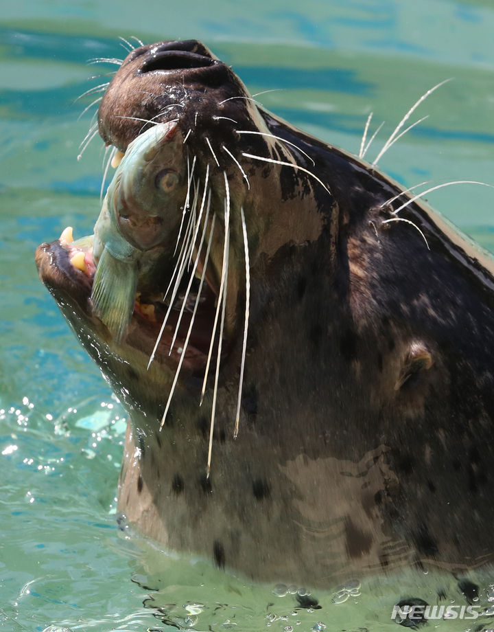 기사와관련없음