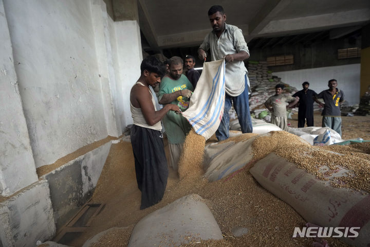 [카라치=AP/뉴시스]2023년 7월26일(현지시간) 파키스탄 카라치의 창고에서 파키스탄 인부들이 밀을 분류하는 모습. 2024.01.06.