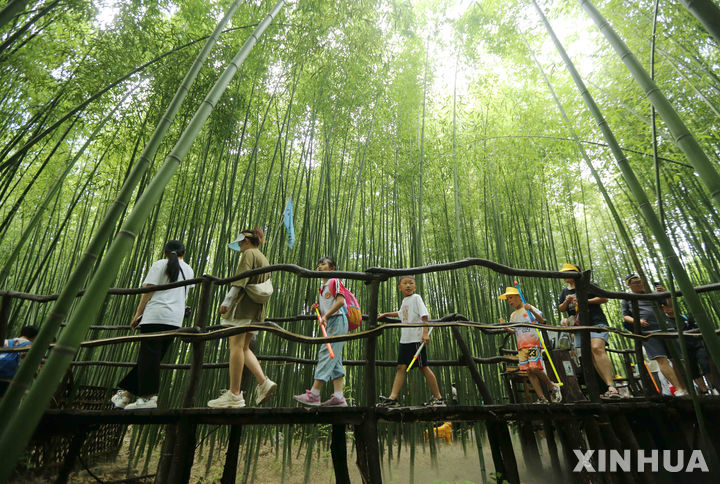 [베이징=신화/뉴시스]중국 국가임업화초원국(NFGA)은 앞으로 3년 내에 플라스틱을 대나무로 대체할 수 있도록 대나무 자원이 풍족하고 산업에 적합한 지역에 5∼10곳의 거점 단지를 건설하기로 했다고 7일 밝혔다. 사진은 지난 7월 15일 중국 산둥성의 한 대나무숲을 방문한 관광객들. 2023.11.8