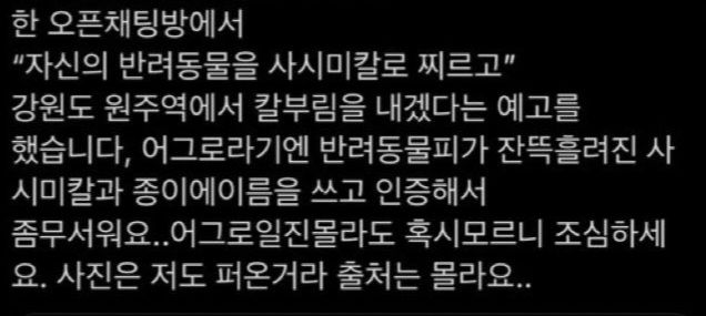 SNS상 퍼지고 있는 테러예고를 알리는 글. *재판매 및 DB 금지