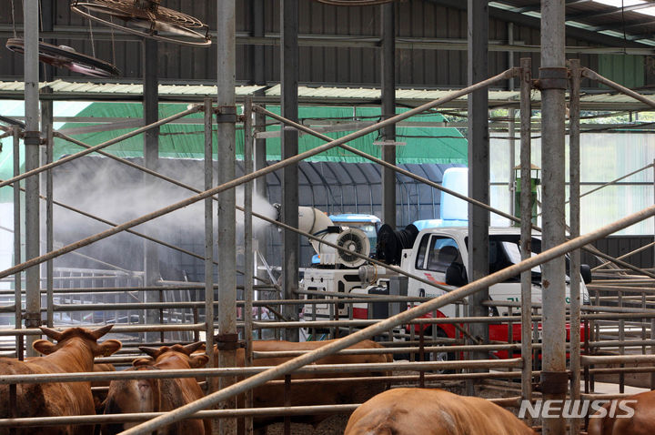 [광주=뉴시스] 이영주 기자 = 연일 무더위가 지속되면서 가축 관리에 비상이 걸린 가운데 7일 광주 북구청 시장산업과 동물정책팀 직원들이 북구 장등동 한 축사에서 내부온도를 낮추기 위해 살수차를 이용해 물을 뿌리고 있다. (사진 = 광주 북구 제공) 2023.08.07. photo@newsis.com