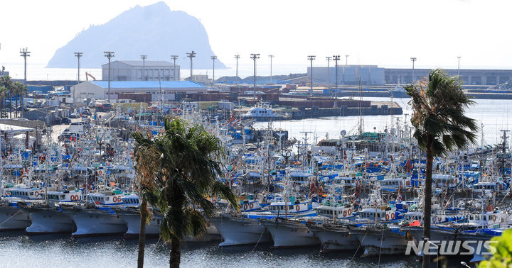 [서귀포=뉴시스] 우장호 기자 = 제6호 태풍 '카눈(KHANUN)'이 방향을 틀어 우리나라를 향해 북상 중인 8일 오전 제주 서귀포시 서귀포항으로 피항한 어선들이 줄지어 정박해 있다. 기상청에 따르면 태풍은 오는 10일 새벽 시간 제주도 동쪽 해상에 최근접할 것으로 전망된다. 2023.08.08. woo1223@newsis.com