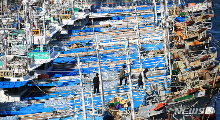 [서귀포=뉴시스] 우장호 기자 = 제6호 태풍 '카눈(KHANUN)'이 방향을 틀어 우리나라를 향해 북상 중인 8일 오전 제주 서귀포시 서귀포항에서 선원들이 어선 정박 상태를 점검하고 있다. 기상청에 따르면 태풍은 오는 10일 새벽 시간 제주도 동쪽 해상에 최근접할 것으로 전망된다. 2023.08.08. woo1223@newsis.com
