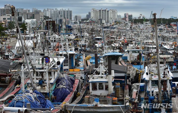 [포항=뉴시스] 이무열 기자 = 제6호 태풍 '카눈'이 북상 중인 8일 오전 경북 포항시 북구 동빈내항에 서둘러 조업을 마친 어선들이 줄지어 정박해 있다. 2023.08.08. lmy@newsis.com