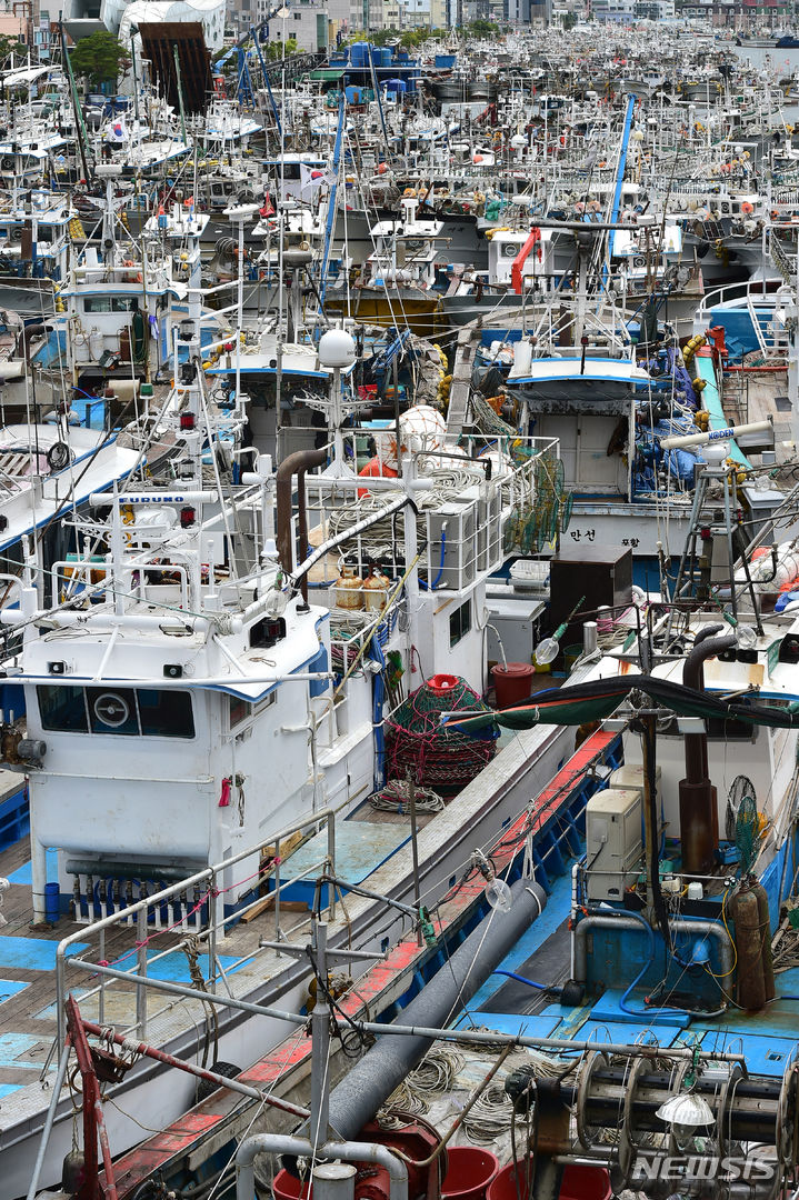 [포항=뉴시스] 이무열 기자 = 제6호 태풍 '카눈'이 북상 중인 8일 오전 경북 포항시 북구 동빈내항에 서둘러 조업을 마친 어선들이 줄지어 정박해 있다. 2023.08.08. lmy@newsis.com
