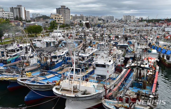 [포항=뉴시스] 이무열 기자 = 제6호 태풍 '카눈'이 북상 중인 8일 오전 경북 포항시 북구 동빈내항에 서둘러 조업을 마친 어선들이 줄지어 정박해 있다. 2023.08.08. lmy@newsis.com