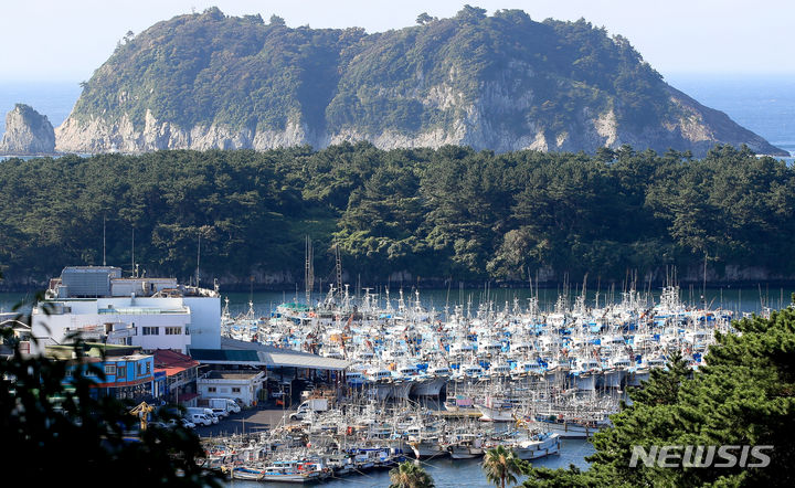 [서귀포=뉴시스] 우장호 기자 = 제6호 태풍 '카눈(KHANUN)'이 방향을 틀어 우리나라를 향해 북상 중인 8일 오전 제주 서귀포시 서귀포항으로 피항한 어선들이 줄지어 정박해 있다. 기상청에 따르면 태풍은 오는 10일 새벽 시간 제주도 동쪽 해상에 최근접할 것으로 전망된다. 2023.08.08. woo1223@newsis.com